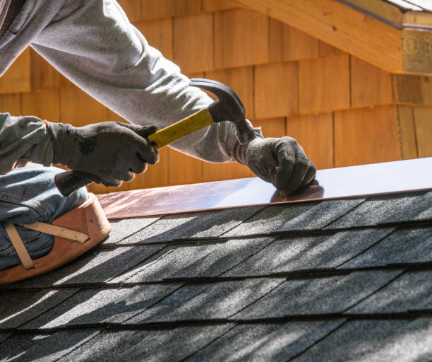 Best Roof Gutter Cleaning  in Brookfield, NJ